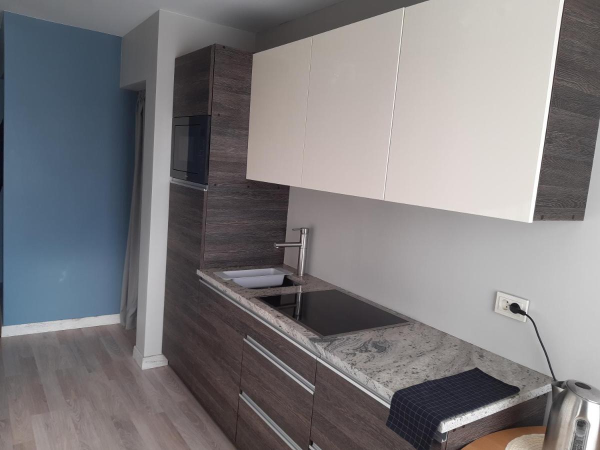 Ferienwohnung Atbrivosanas Aleja 80 Rēzekne Exterior foto